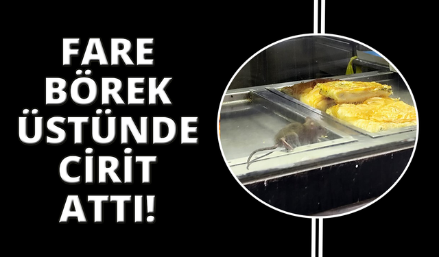 İzmir'de börek tezgahlarında fare cirit attı