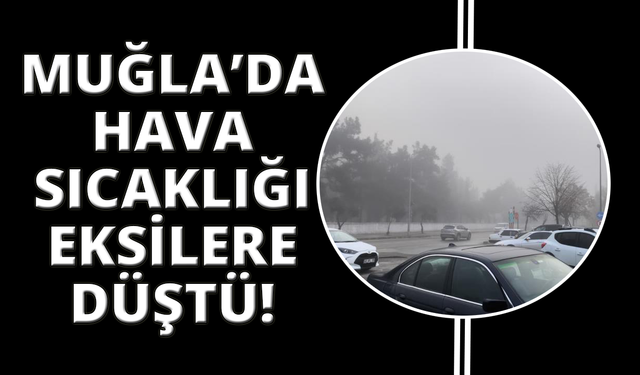 Muğla’da termometreler sıfırın altını gördü