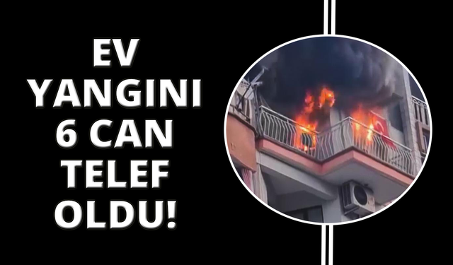 Manisa’da ev yangını: 6 kedi telef oldu