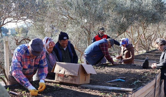 Menderes'te salep umudu