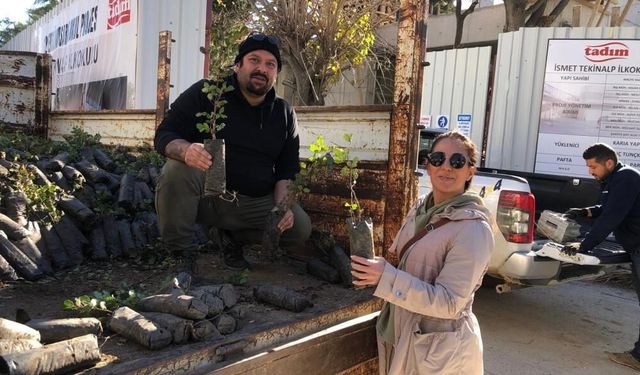 Mahalle muhtarından Datça’ya 2 bin harnup fidanı