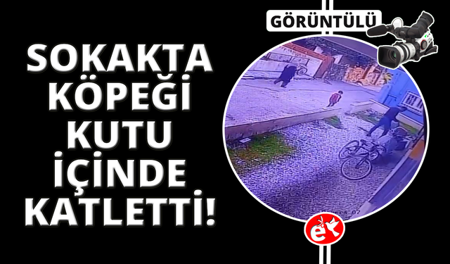 Manisa'da çocukların gözü önünde köpeği katletti