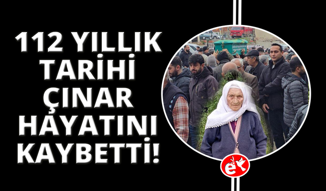 Manisa'nın tarihi çınarı 112 yaşında hayatını kaybetti