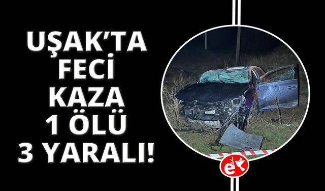 Uşak'ta otomobil şarampole devrilip takla attı: 1 ölü, 3 yaralı
