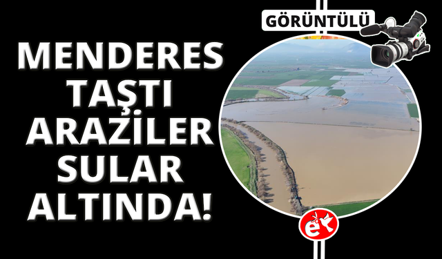 Menderes taştı, yüzlerce dönüm sular altında kaldı