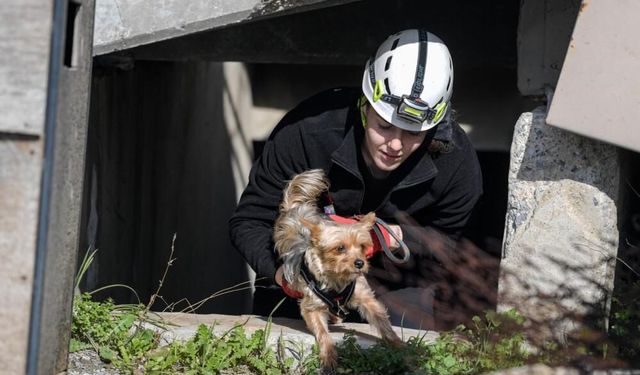 Afetlerde mahsur kalan hayvanlar unutulmayacak
