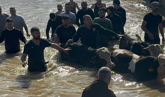 Gediz Nehri'nde mahsur kalan 44 kişi ve 127 hayvan kurtarıldı