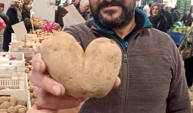 Kalp şeklindeki patates ilgi odağı oldu