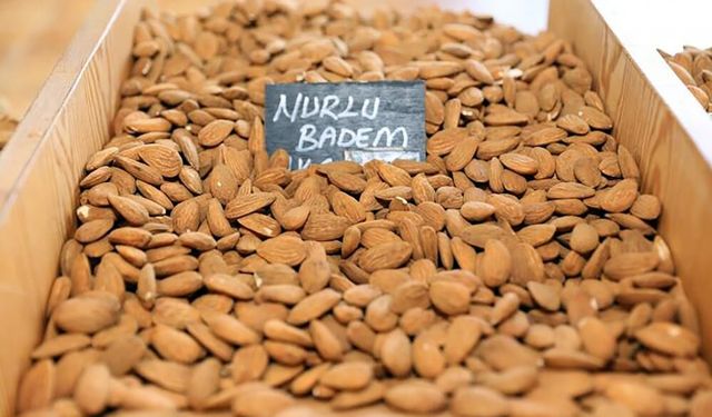 Datça Nurlu Bademi için Muğla Büyükşehir Belediyesi tesis kuruyor