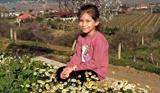 Manisa'da bademler çiçek açtı papatyalar tarlaları süsledi