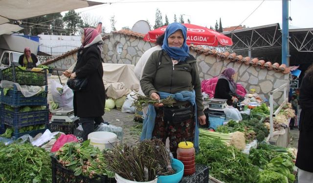 Menteşe Pazarında tilkişen sezonu başladı