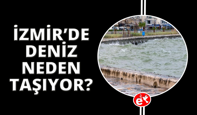 İzmir'de denizdeki taşmanın nedeni 'bileşik kaplar' etkisi