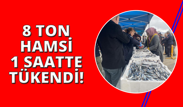 Manisa'da belediyenin ikramı 8 ton hamsi 1 saatte tükendi