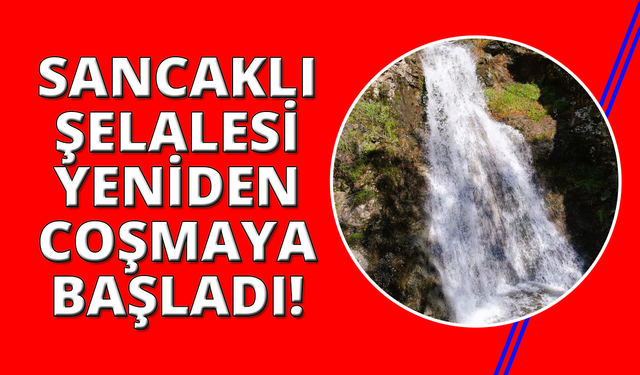 Karşıyaka'nın saklı cenneti Sancaklı Şelalesi'nde su sesi yankılanıyor