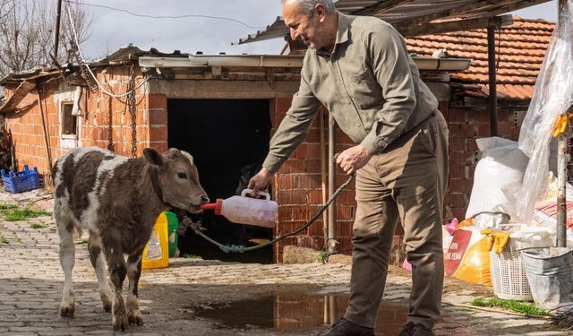 Köylüye can suyu: Destek 1,4 milyara çıktı