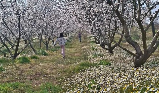 Manisa'da kartpostallık manzara