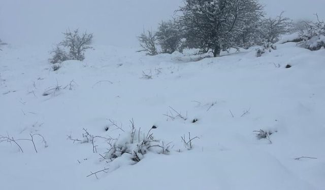 Mart sonunda Karıncalı Dağ'da kar sürprizi