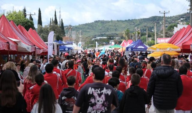 Bodrum'da Acı Ot Festivali'ne insan seli