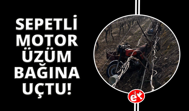 Manisa’da sepetli motosiklet üzüm bağına uçtu: 1 ölü