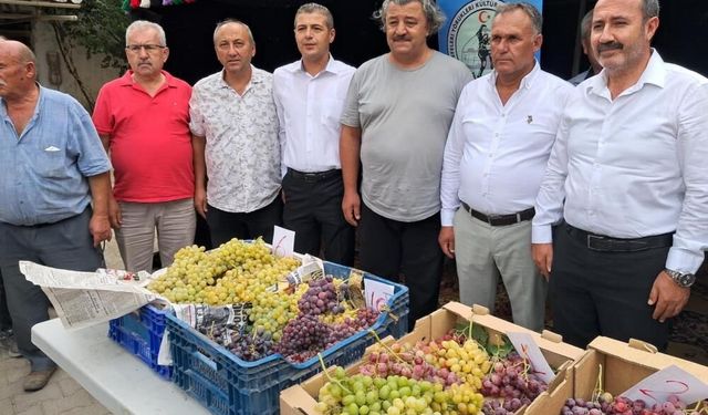 Avşar Üzümü coğrafi işaretle tescillendi
