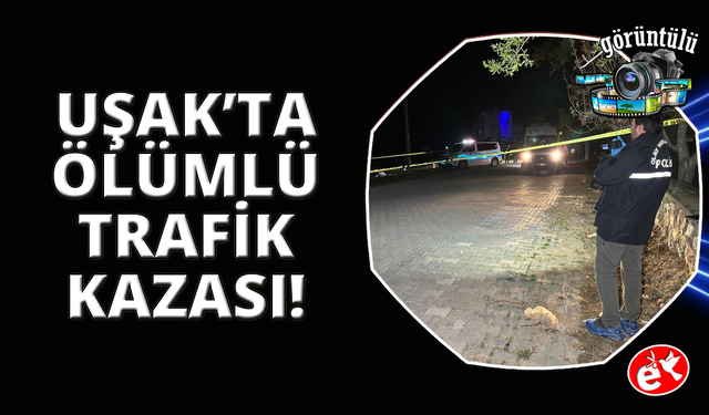 Uşak'ta motosiklet araziye devrildi: 1 ölü