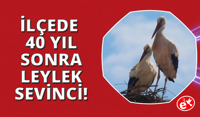 Kuşadası'nda 40 yıl sonra leylek sevinci