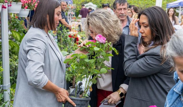 İzmir çiçek açtı, her yer rengârenk oldu