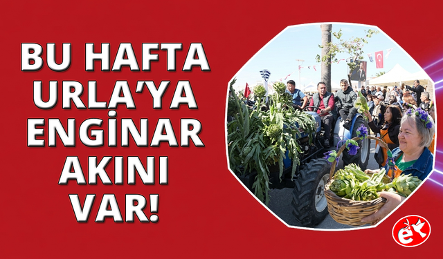 Urla'da Enginar Festivali başladı