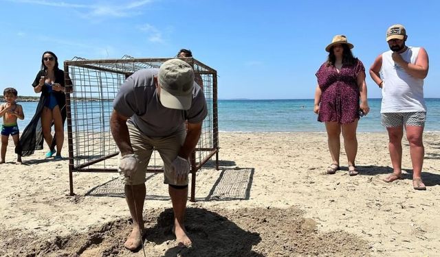 Aydın’da yılın ilk Caretta Caretta yuvası tespit edildi