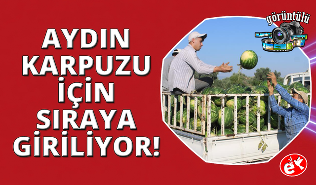 Aydın karpuzu için gün doğmadan sıraya giriyorlar