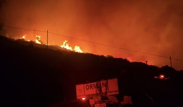 İzmir'de makilik alanda yangın