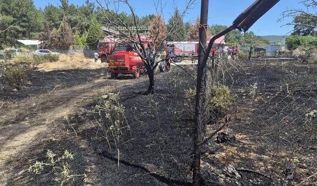 İzmir'deki orman yangınlarında iki gözaltı