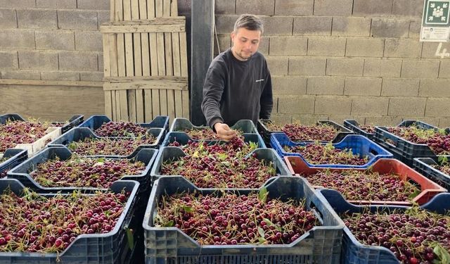 Kütahyalı vişne üreticileri taban fiyat ve fiyat istikrarı istiyor
