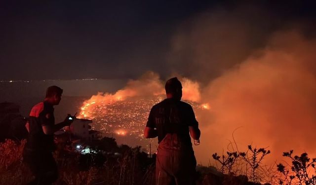 İzmir’in kuzeyinde orman yangını alarmı