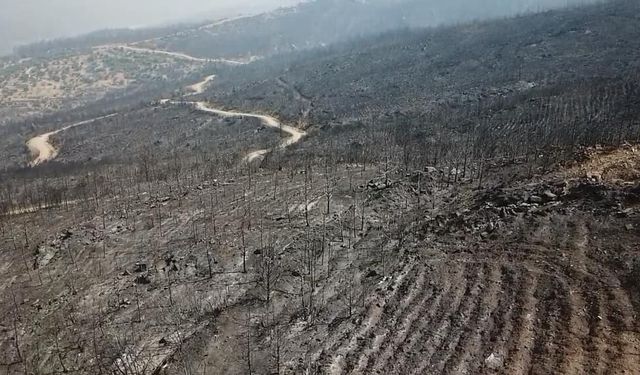 Seydikemer'de alevlerin küle çevirdiği alanlar havadan görüntülendi