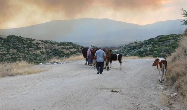 Alevlerden kaçtılar, hayvanlarını ve kendi canlarını zor kurtardılar