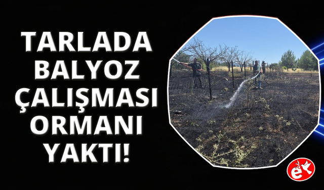 Tarladaki 'balyoz' çalışması ormanı yakmış: Arazi sahibi tutuklandı