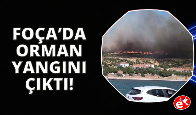 Foça’daki orman yangınına havadan ve karadan müdahale