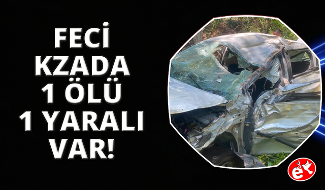 Aydın Germencik’te trafik kazası: 1 ölü, 1 yaralı