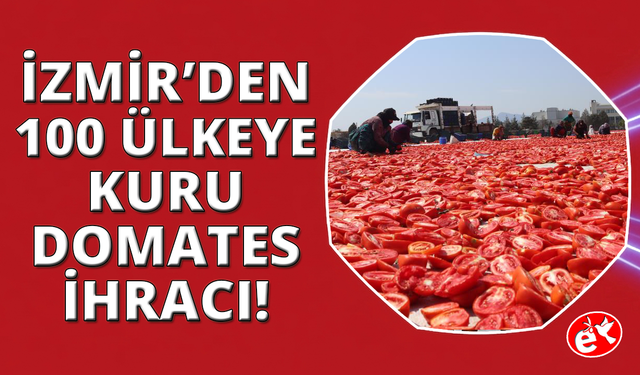 İzmir'de kurutulmuş domatesler ovayı kırmızıya boyadı