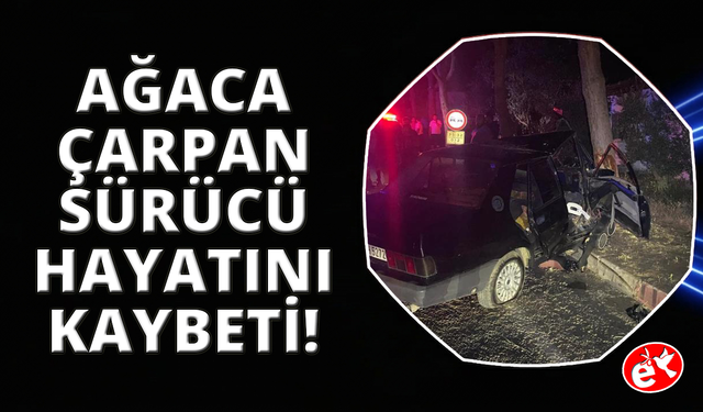 Köpeğe çarpmamak için ağaca çarpan sürücü hayatını kaybettti