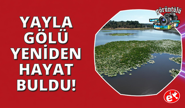Süleymanlı Yayla Gölü yeniden hayat buldu
