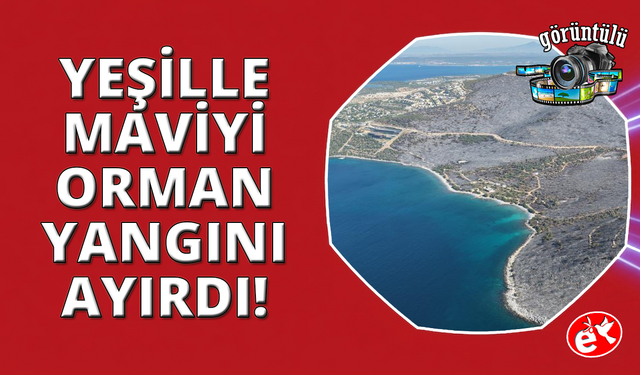Muğla'da yeşil örtü, karaya döndü