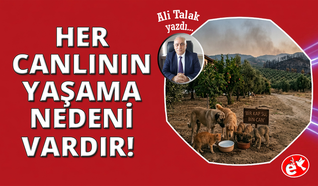 Doğanın Dengesi ve Can Dostlarımız