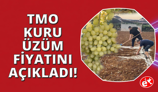 Tüccarın 50 liraya düşürdüğü kuru üzüme TMO’dan 100 liralık can suyu