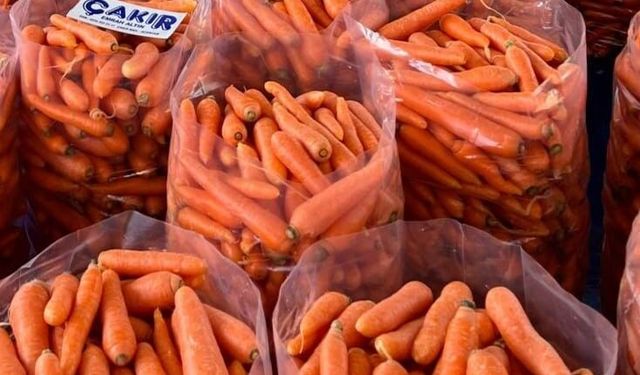 Acıpayam Çakır Havucu coğrafi işaretle tescillendi