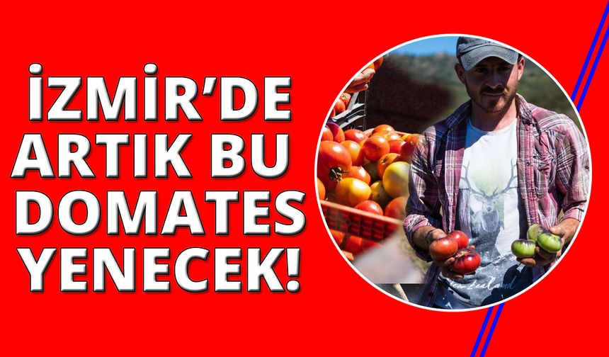 İzmirliler artık Yamanlar Domatesi yiyecek