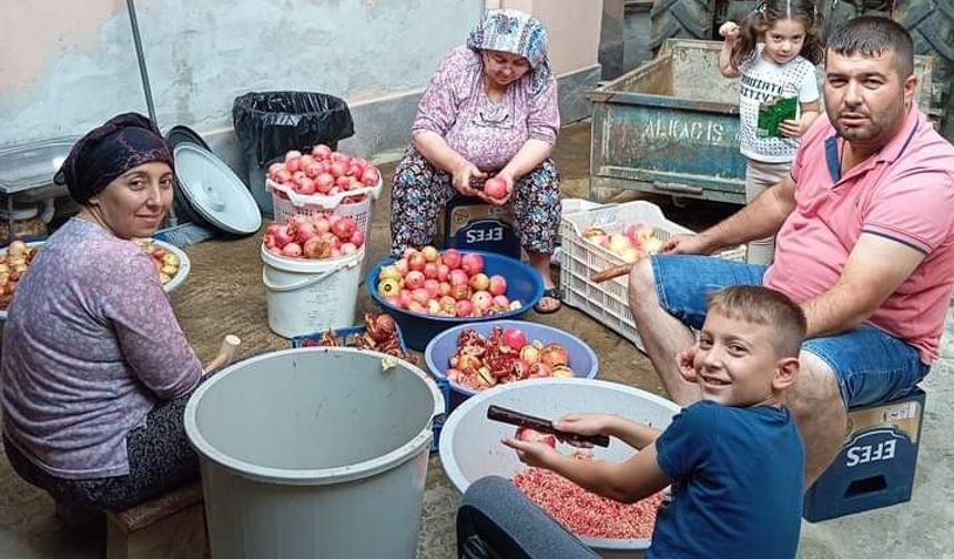 Manisa'da evlerde nar ekşisi yapımına başlandı