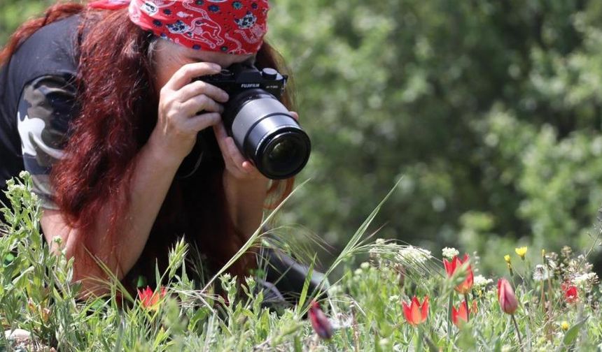 Fotoğraf tutkunları Manisa Lalesi için Spil Dağına akın etti