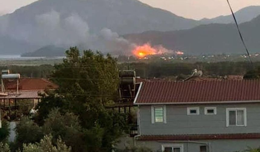 Köyceğiz’de sazlık alanda yangın çıktı